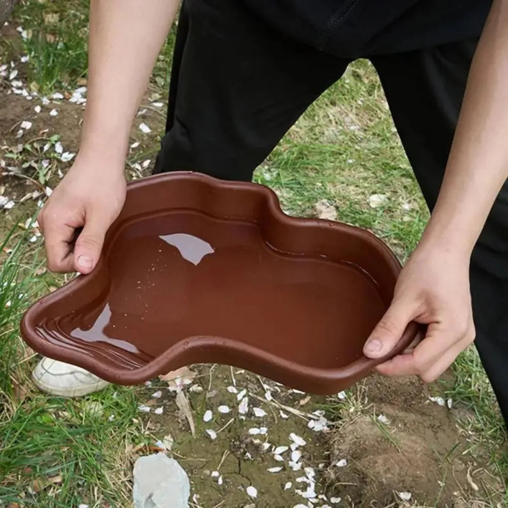 Reptile Bathing Pool with Ramp