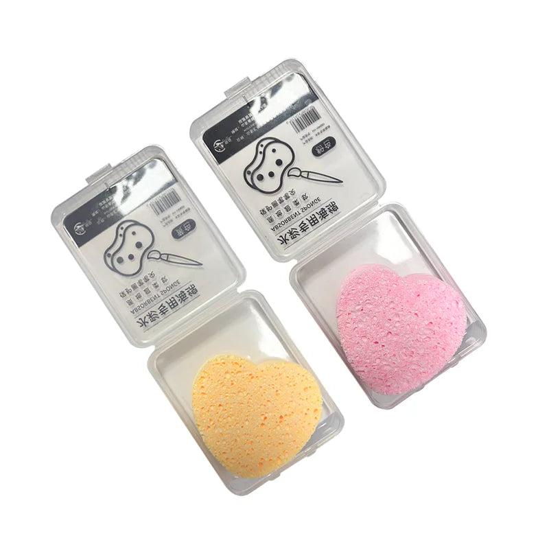 Watercolor Painting Sponge Set