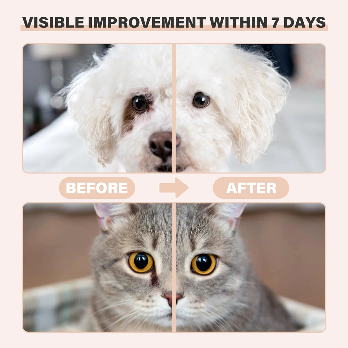 Pet Tear Stain Remover Balm with Applicator Brush