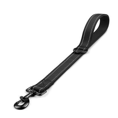 5M Nylon Leashes for Large Dog