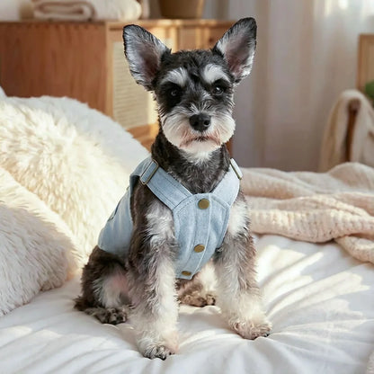 Fashion Dog Denim Jumpsuit with Bowknot Design