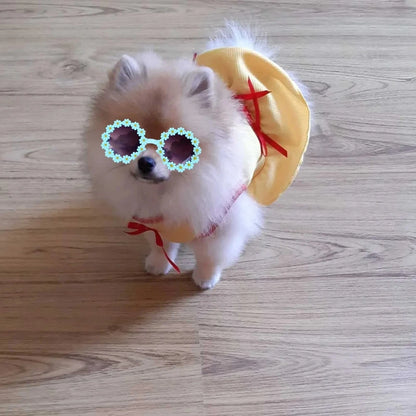 Pet Flower Sunglasses for Cats & Small Dogs