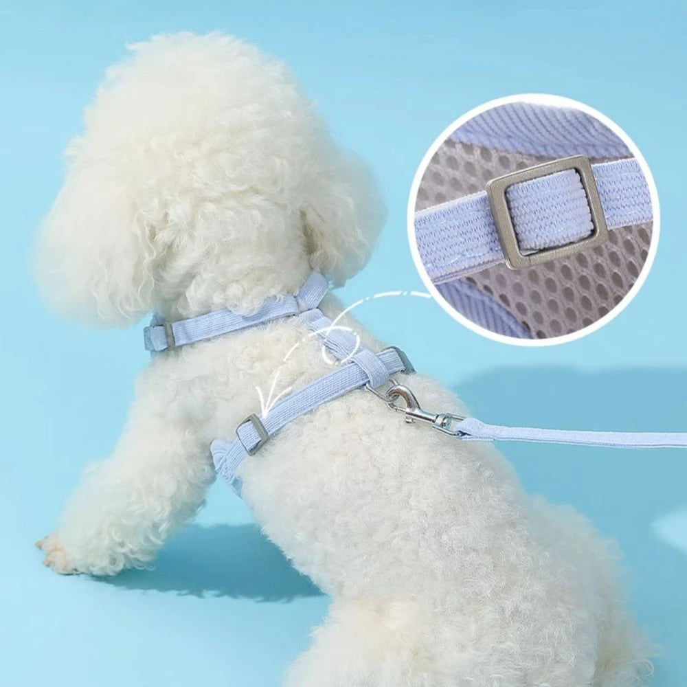 Adjustable Dog Harness with 1.5m Leash Set