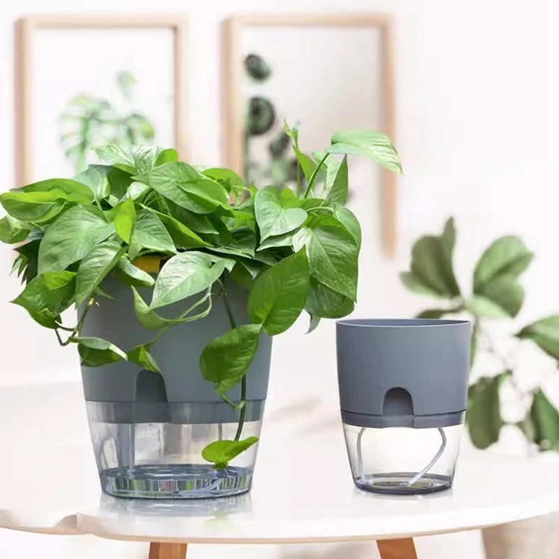 Self-Watering Hydroponic Plant Pot