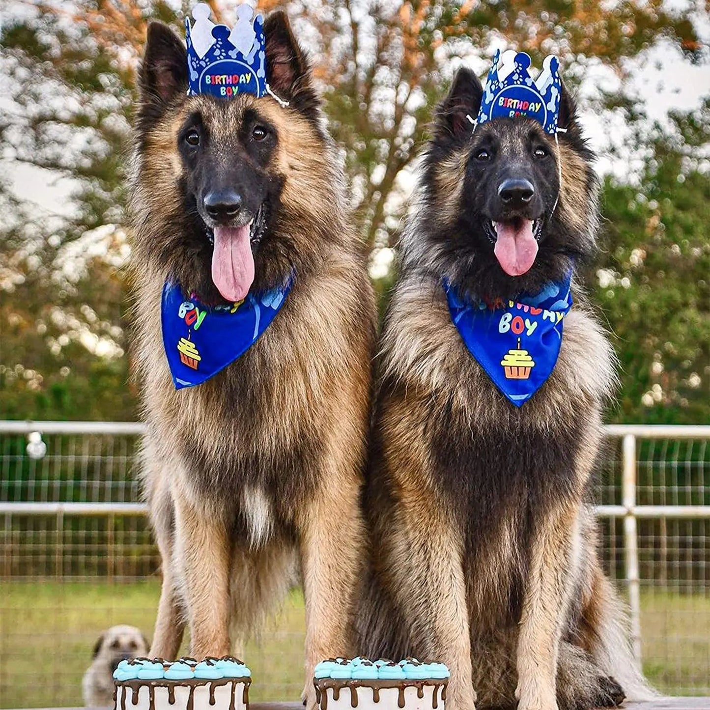 Pet Birthday Party Flag Decoration