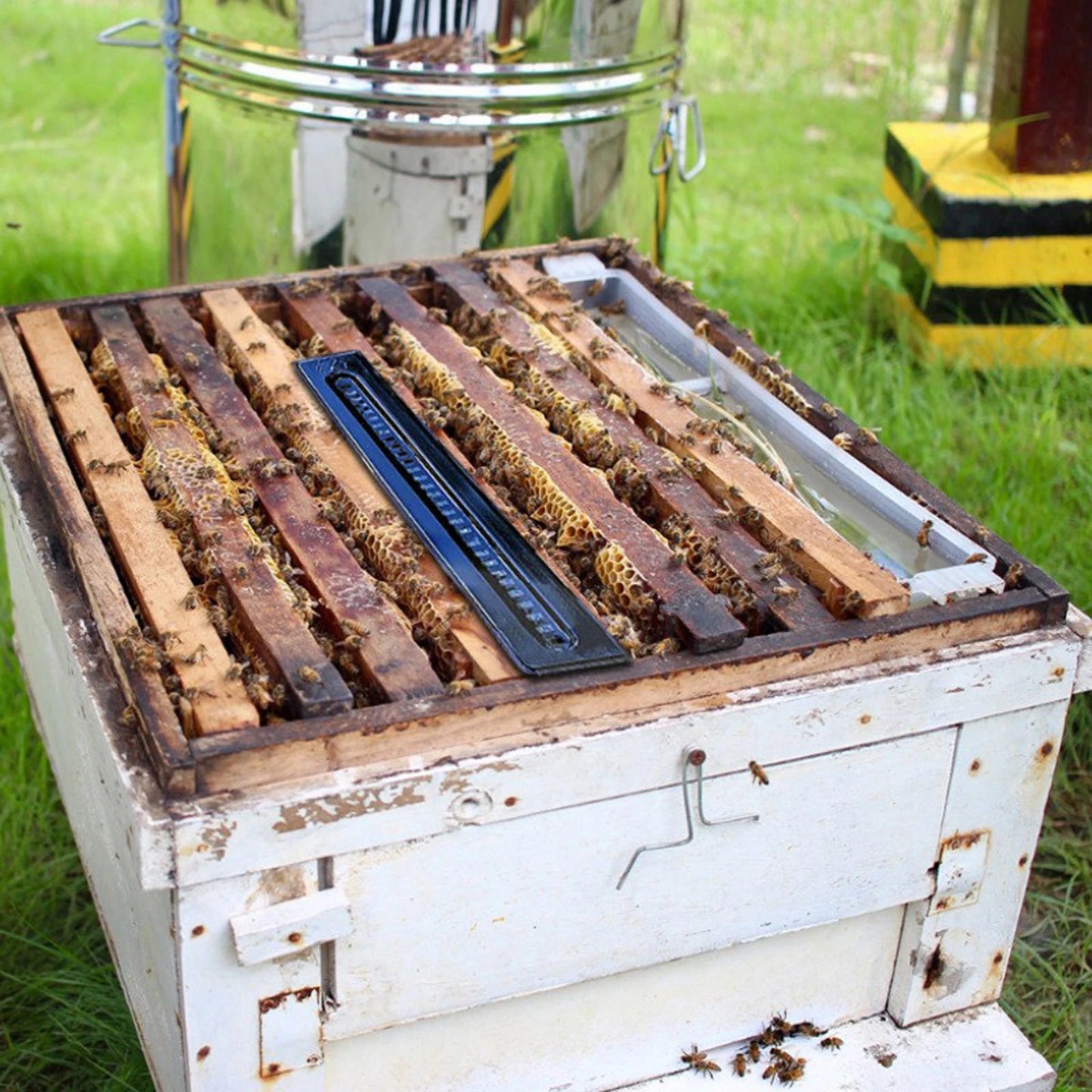 Bee Hive Beetle Trap Tool