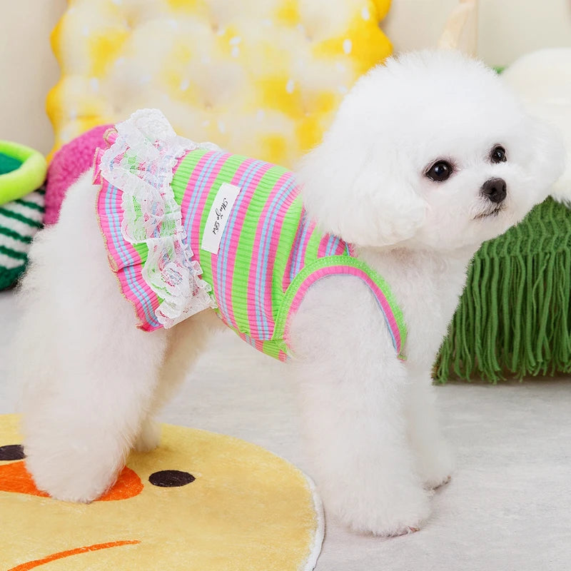 Striped Summer Dog Dress with Lace Skirt
