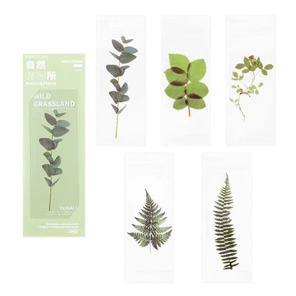 Translucent Flower Bookmark Set