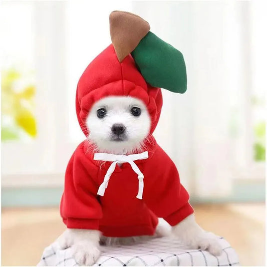 Cute Fruit Pet Hoodie Costume