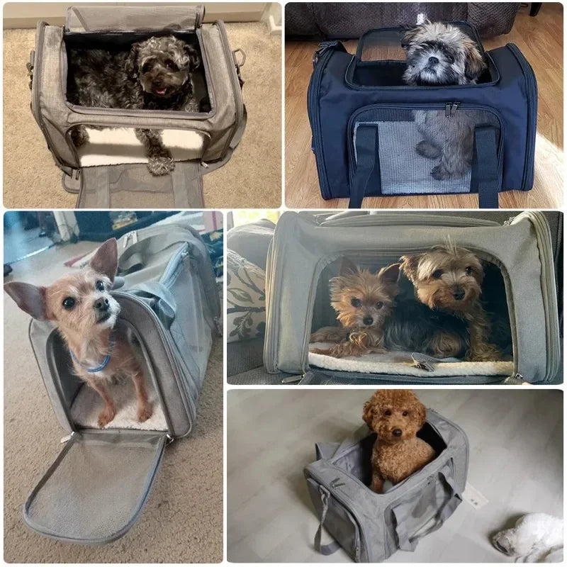 Airline Approved Soft-Sided Pet Carrier Bag for Small Dogs & Cats