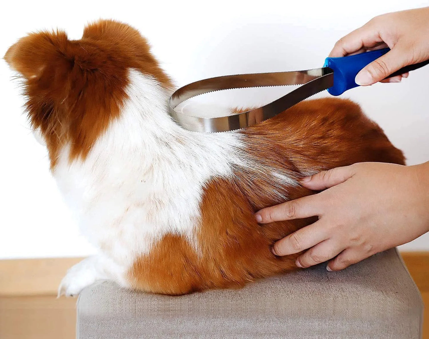 Pet Hair Removal Grooming Loop