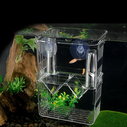 Acrylic Fish Breeding & Isolation Box for Aquariums