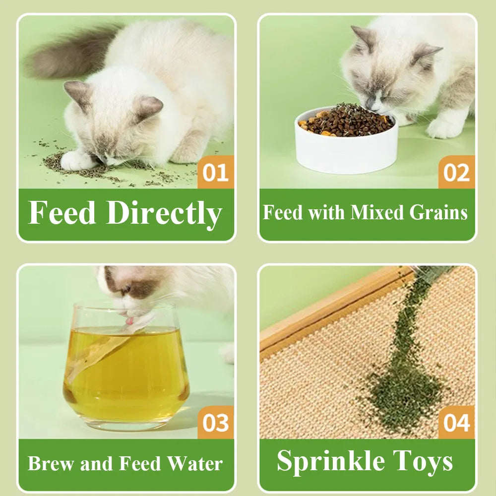 15-Pack Natural Catnip Tea Bags for Cats