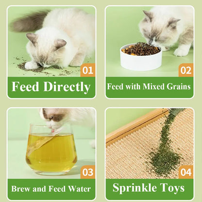 15-Pack Natural Catnip Tea Bags for Cats