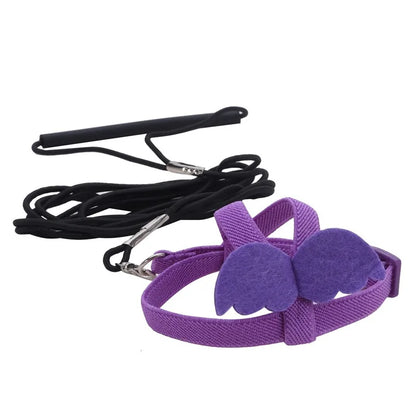 Parrot Training Harness & Anti-Bite Leash Set