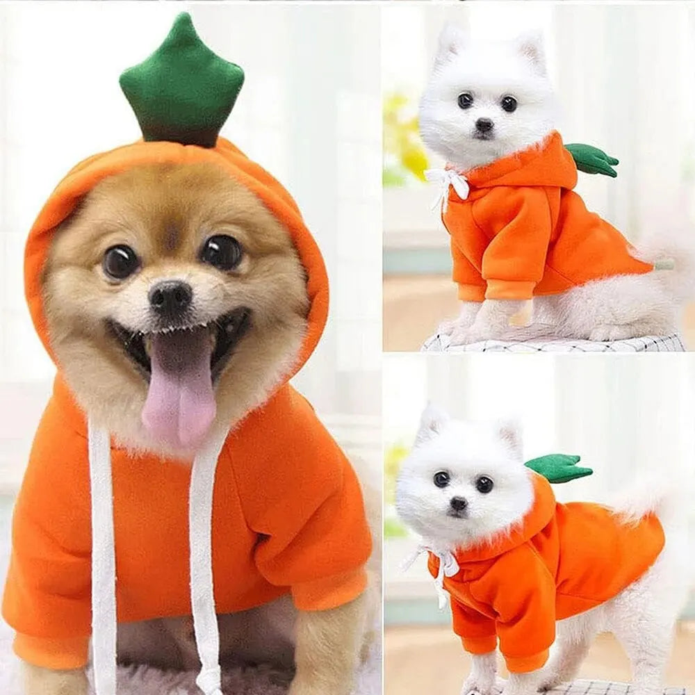 Cute Fruit Pet Hoodie Costume