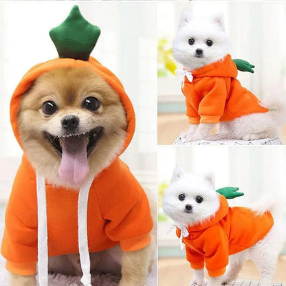 Cute Fruit Pet Hoodie Costume