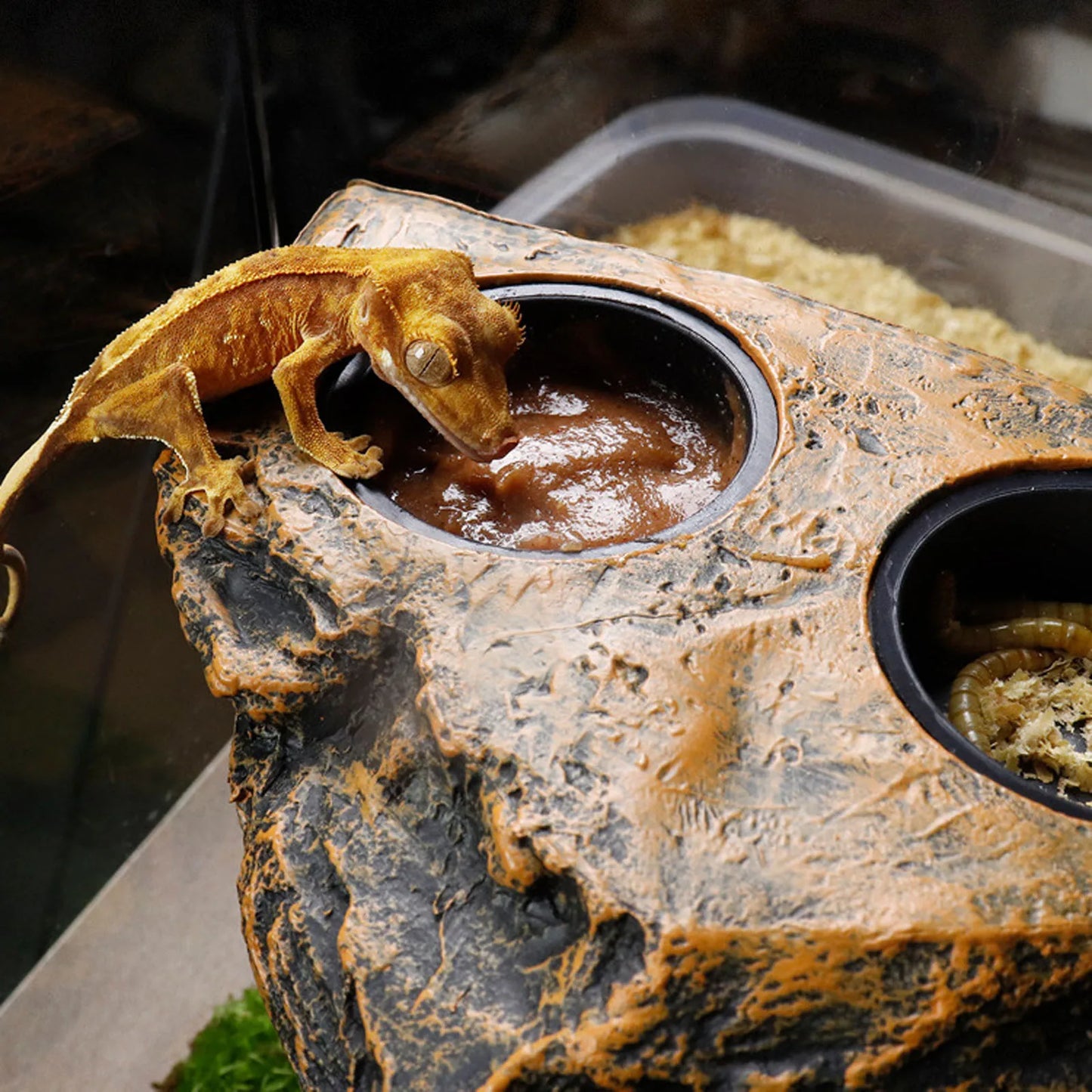 Magnetic Reptile Feeder Bowl for Terrarium Pets