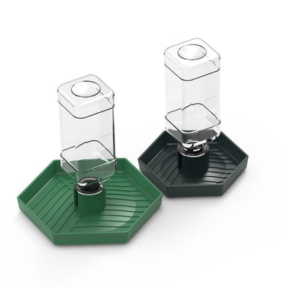 Reptiles Water Feeder Bowl