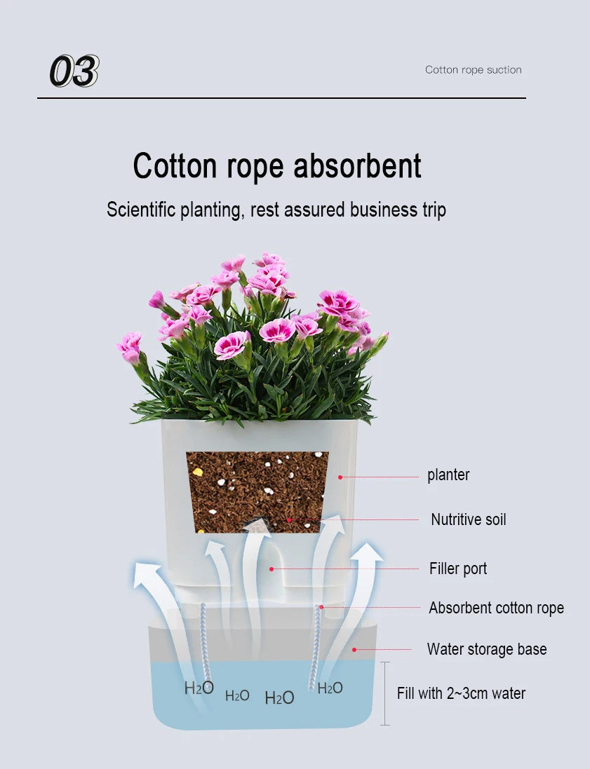 Self-Watering Plant Pot