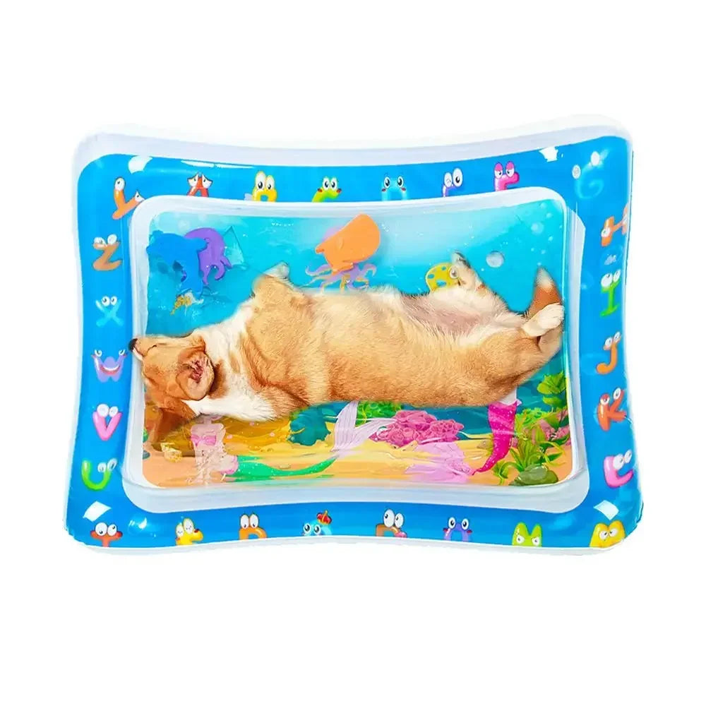 Pet Water Sensory Play Mat