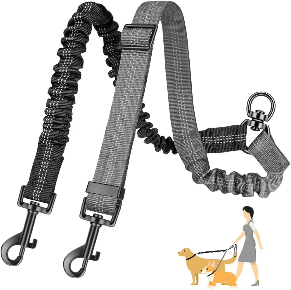 Dual Dog Leash Attachment with Bungee Strap