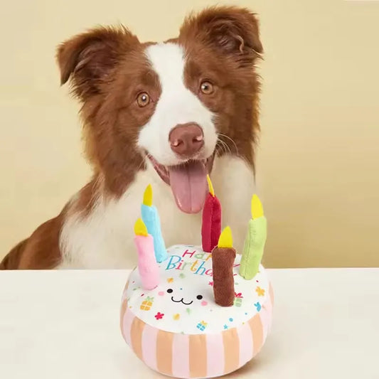 Birthday Cake Plush Dog Toy with Squeaker