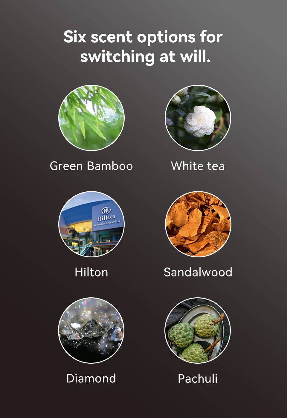 Car Vent Perfume Diffuser