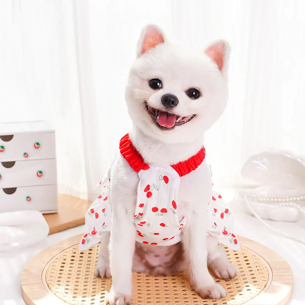 Cherry Print Princess Dress for Dogs & Cats