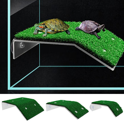 Turtle Basking Platform Ramp