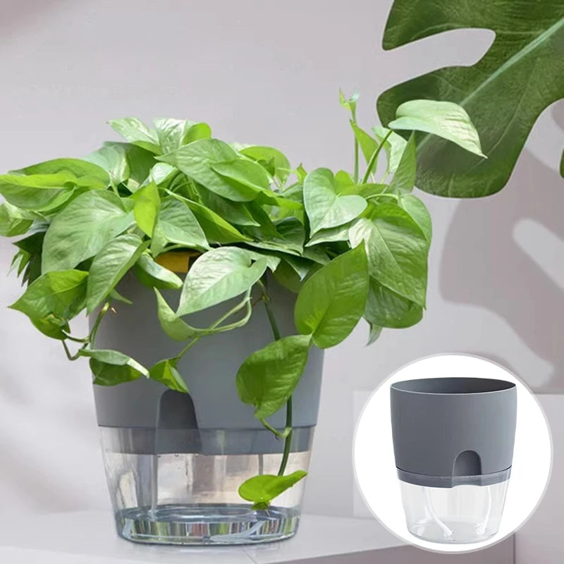 Self-Watering Hydroponic Plant Pot