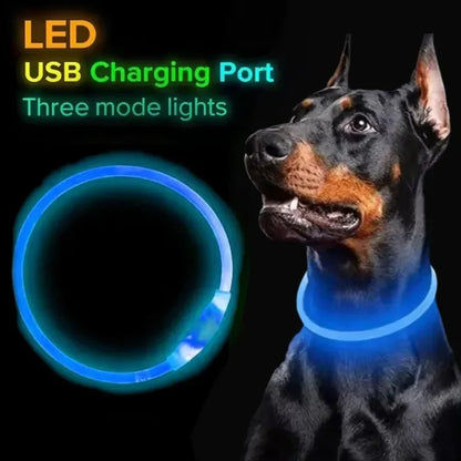 LED Light Up Dog Collar with USB Charging