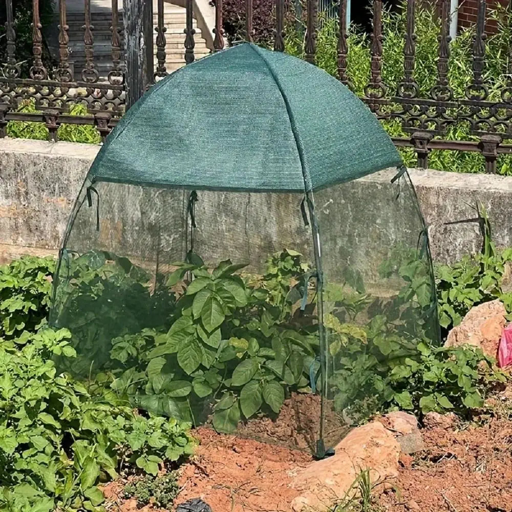 Pop-Up Garden Plant Protection Tent