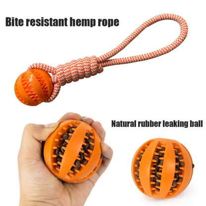 Rope Treat Ball Dog Toy