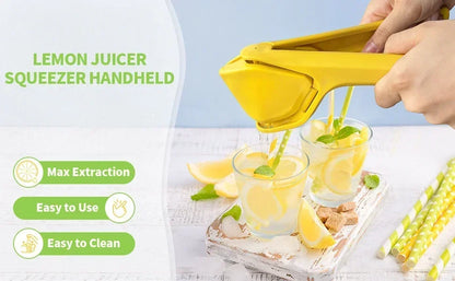 Manual Lemon Fruit Squeezer