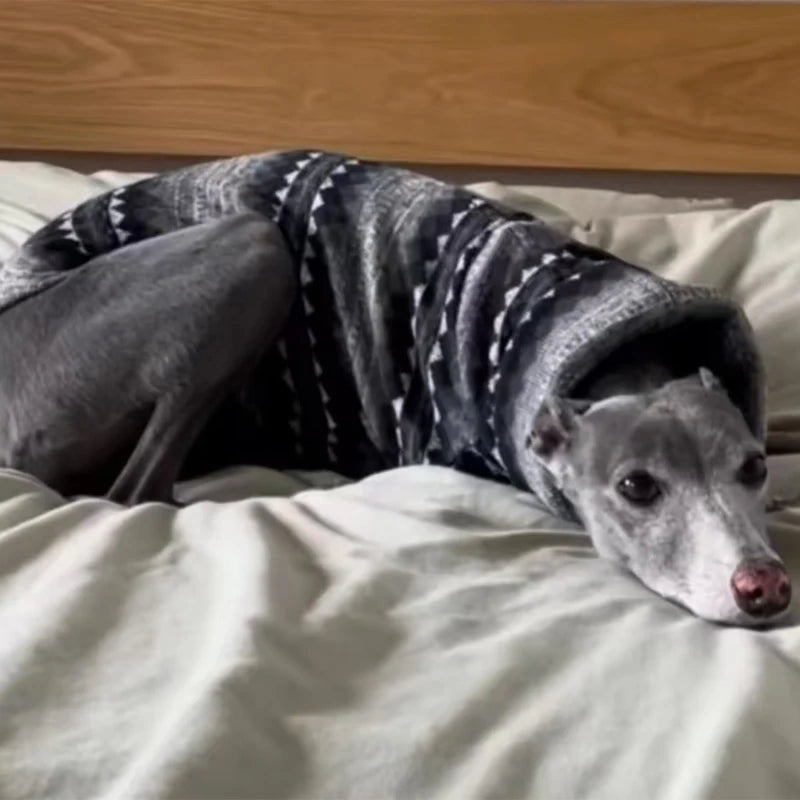 Greyhound Fleece High-Neck Dog Vest