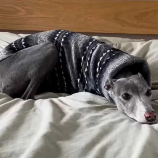 Greyhound Fleece High-Neck Dog Vest