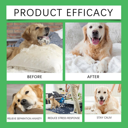 Dog Calming Diffuser Set for Home Use