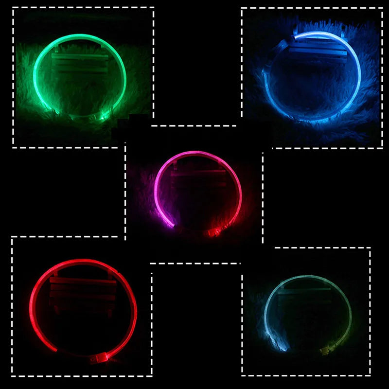 USB Rechargeable LED Dog Collar