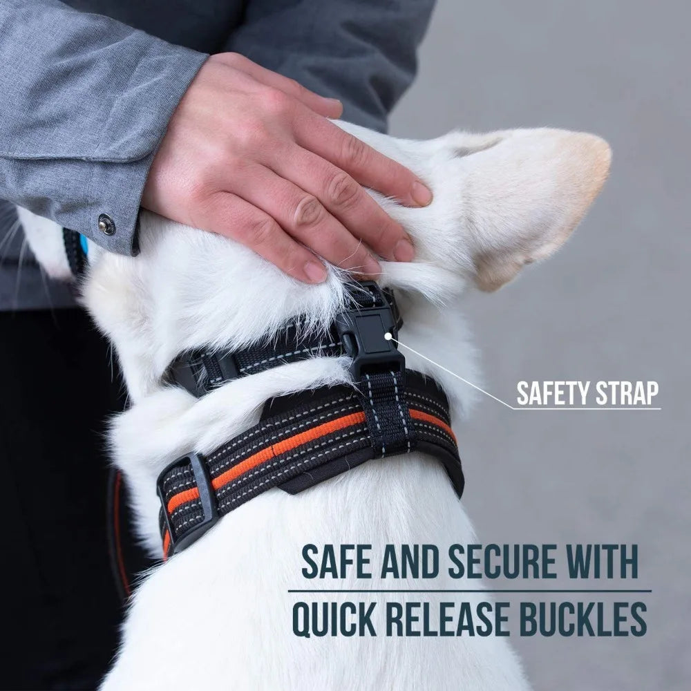 Adjustable Dog Muzzle Training Leash