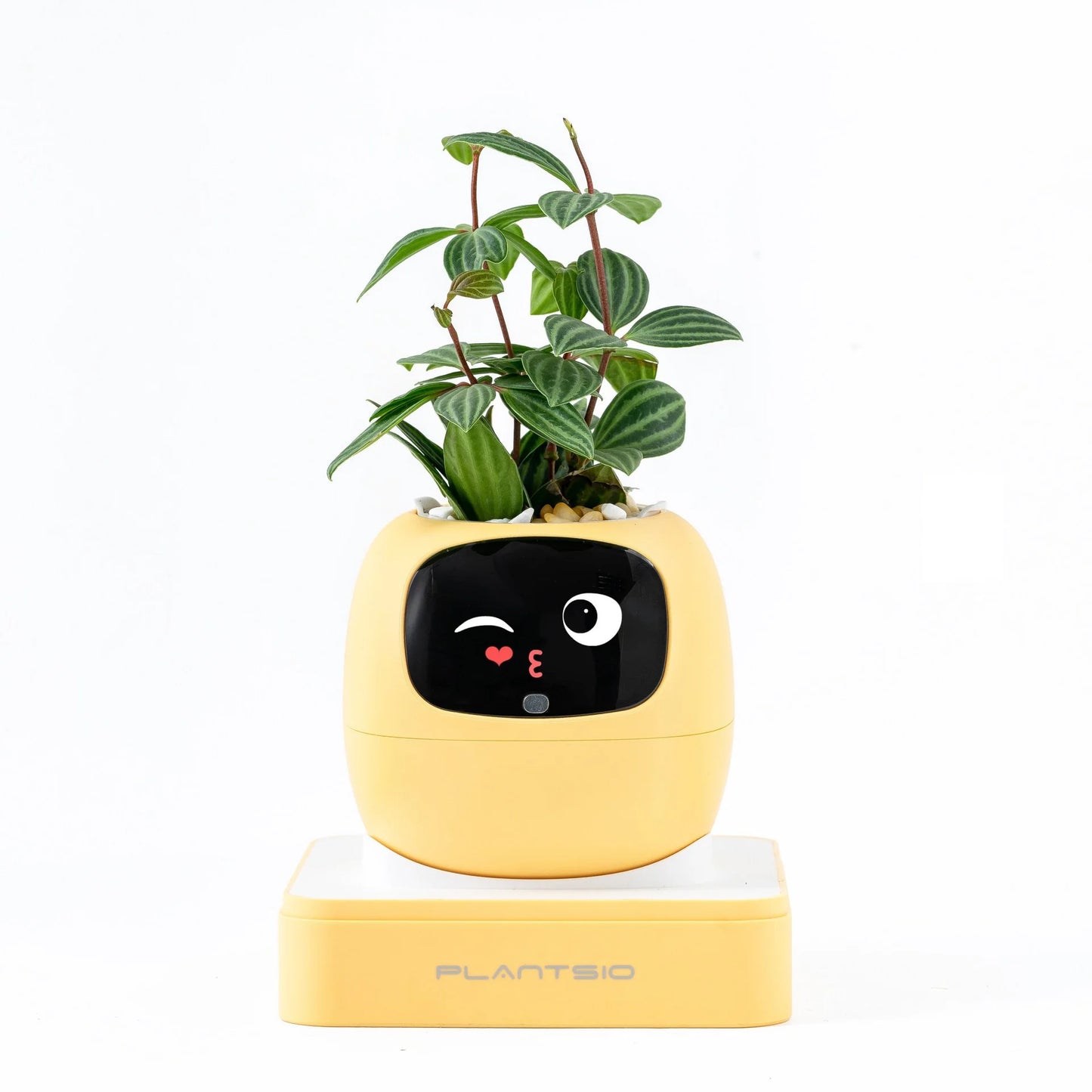 Smart AI Expression Planter