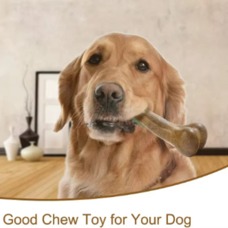 Natural Dog Bone Chew Toy