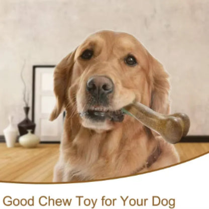 Natural Dog Bone Chew Toy