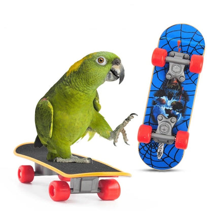 Mini Parrot Skateboard Toy