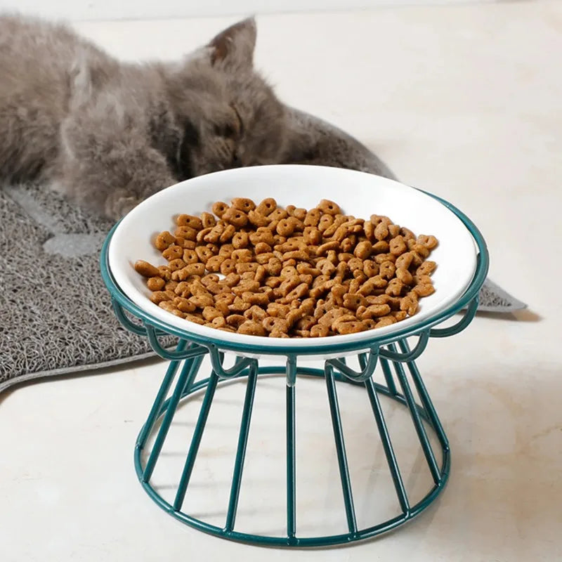 Elevated Ceramic Cat Food Bowl with Metal Stand
