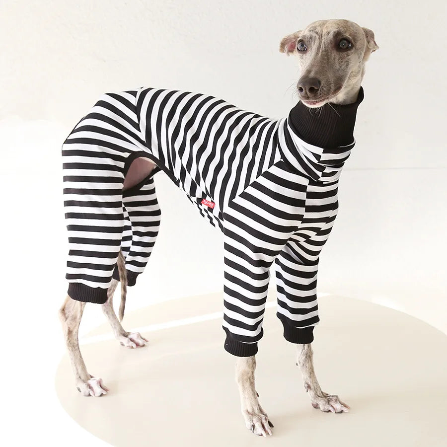 Striped Cotton Dog Pajamas for Italian Greyhounds & Whippets