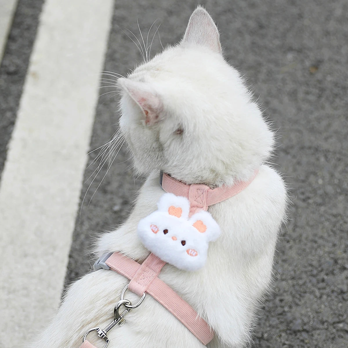 Breathable Adjustable Dog & Cat Harness with Leash Set