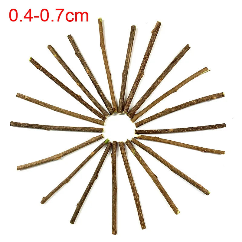 Natural Silvervine Cat Chew Sticks