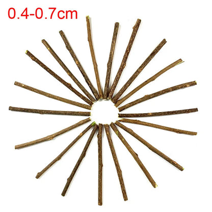 Natural Silvervine Cat Chew Sticks
