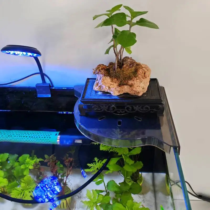 Aquarium Corner Storage Shelf for Plants & Accessories